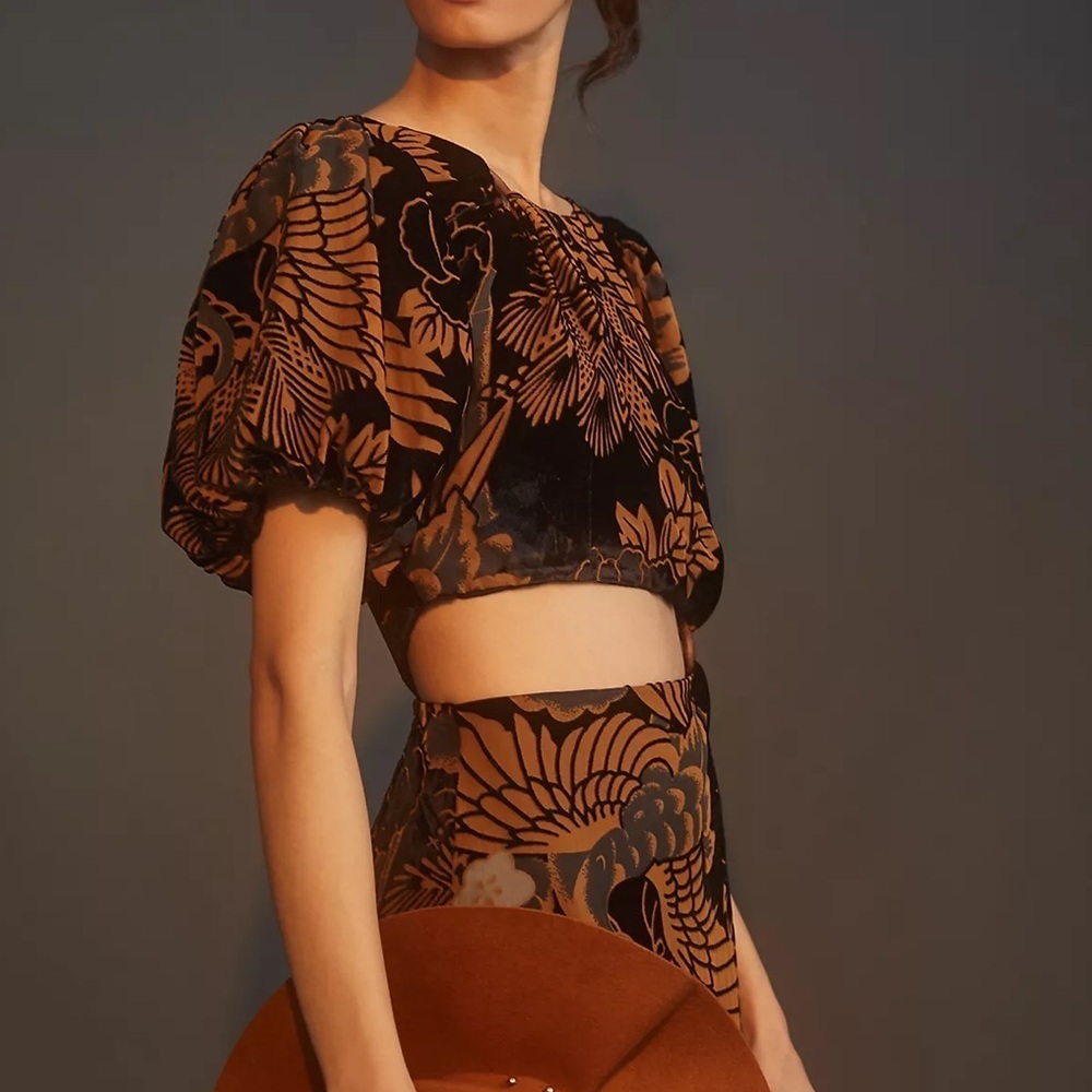 Anthropologie Let‎ Me Be Burnout Velvet Cutout Maxi Dress NWT - Picture 3 of 12